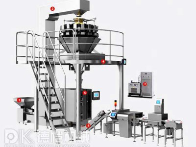 自動(dòng)包裝機-稱(chēng)重包裝系統